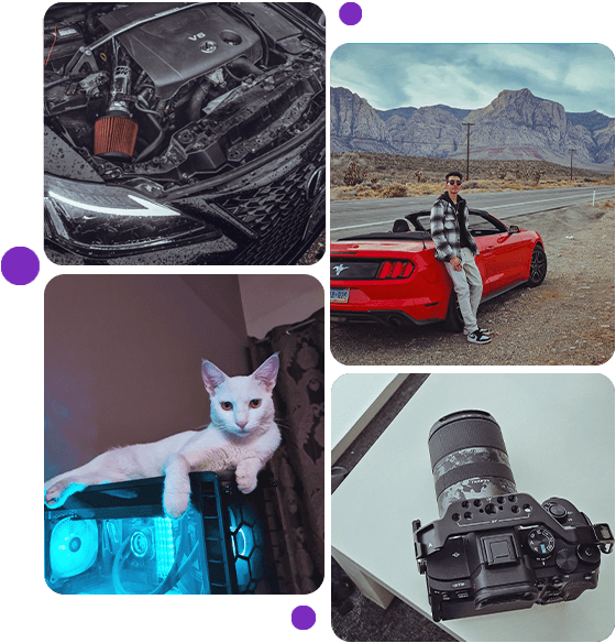 An image collage showcasing my favourite hobbies/things. An image collage showcasing my favourite hobbies/things.